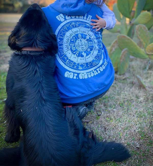 Poleron Tzolkin / azul piedra. - LadyMushroom